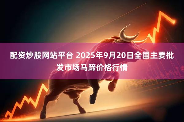 配资炒股网站平台 2025年9月20日全国主要批发市场马蹄价格行情