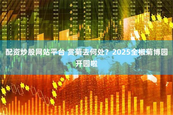 配资炒股网站平台 赏菊去何处？2025全椒菊博园开园啦