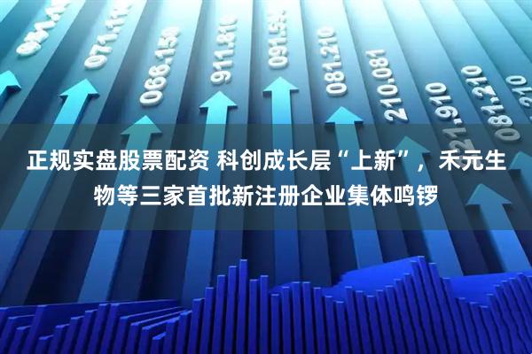 正规实盘股票配资 科创成长层“上新”，禾元生物等三家首批新注册企业集体鸣锣