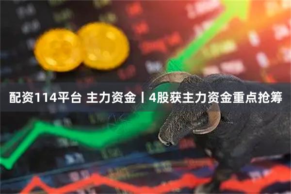 配资114平台 主力资金丨4股获主力资金重点抢筹